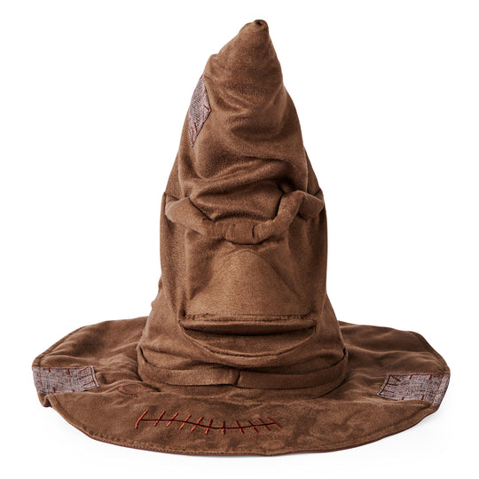 Wizarding World, Talking Sorting Hat